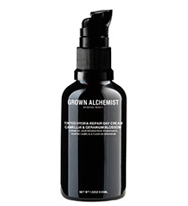 Tinted Hydra-Repair Day Cream